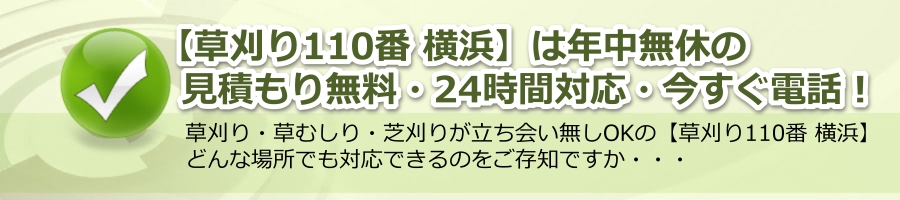 【草刈り110番 横浜】神奈川県で365日24時間電話対応・見積もり無料！